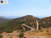 Makry-Gialos Kreta, Pefki - Makry Gialos Großes Grundstück mit Meerblick zu verkaufen! Grundstück kaufen